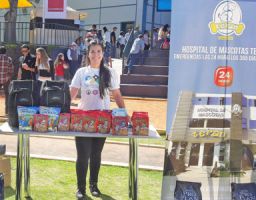 lugares para adoptar gatos en arequipa Hospital de Mascotas Teran