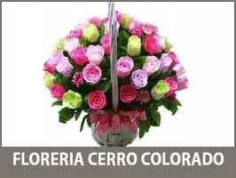 tiendas de rosas en arequipa Florerías en Arequipa - Petalos