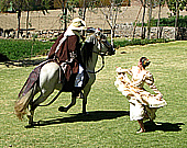 garden at arequipa PERU ADVENTURE TOURS E.I.R.L