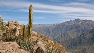 horse riding in arequipa Perou Voyage Tour Operator