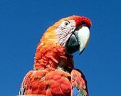 boat tours arequipa PERU ADVENTURE TOURS E.I.R.L