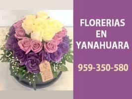 tiendas manitas a domicilio arequipa Florerías en Arequipa - Petalos