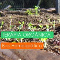 clinicas medicinas alternativas arequipa BIOS - Clinica de Terapias Alternativas