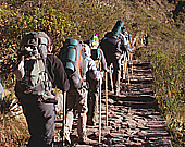 canoeing courses arequipa PERU ADVENTURE TOURS E.I.R.L