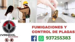 empresas fumigacion cucarachas arequipa Ivankol Solutions servicio de fumigaciones/control de plagas/desinfecciones/desratizacion/limpieza