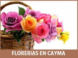 floristerias en arequipa Florerías en Arequipa - Petalos