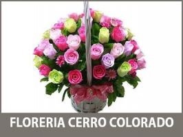 tiendas flores tipicas arequipa Florerías en Arequipa - Petalos