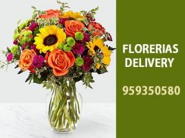 tiendas manitas a domicilio arequipa Florerías en Arequipa - Petalos